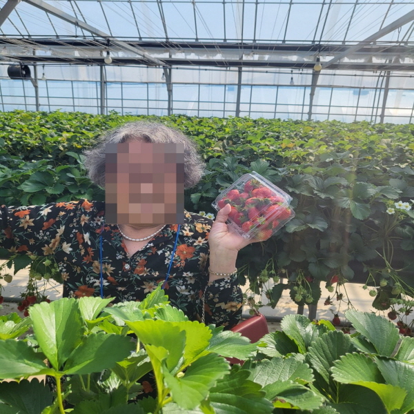 2025년 4월 성서재가노인돌봄센터 노인맞춤돌봄서비스 문화활동 프로그램 상반기 나들이 서비스